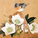 Asako Morishita Gallery